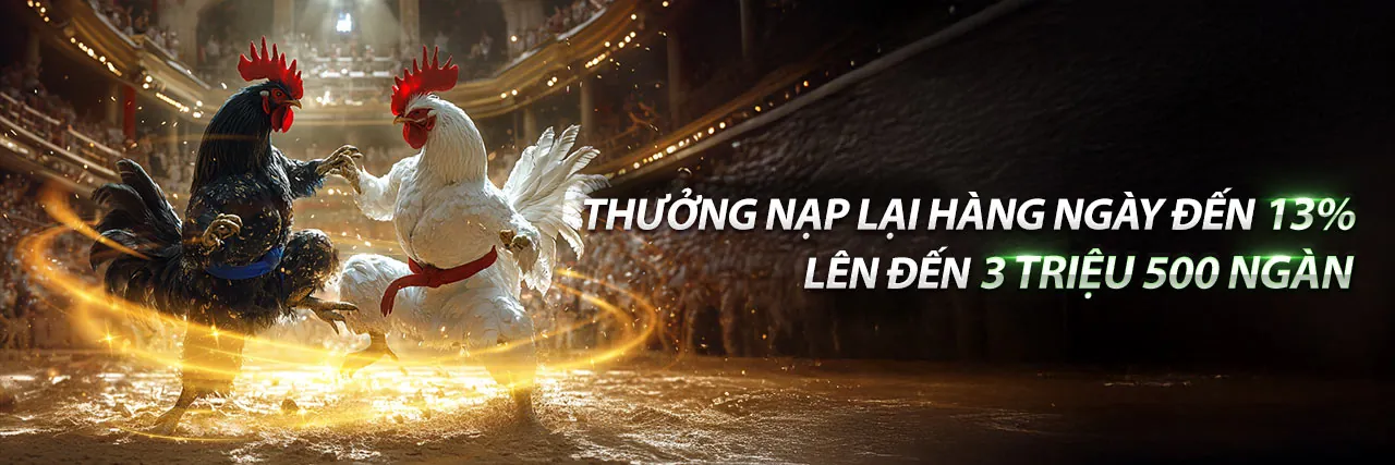 MMOO9 Khuyến Mãi 2026: Nền Tảng Giải Trí Trực Tuyến An Toàn & Hấp Dẫn